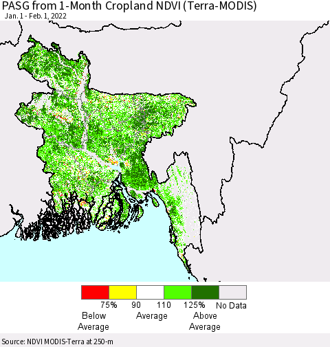 Bangladesh PASG from 1-Month Cropland NDVI (Terra-MODIS) Thematic Map For 1/25/2022 - 2/1/2022