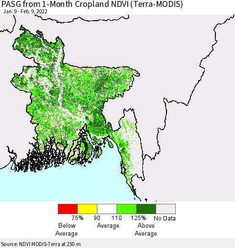 Bangladesh PASG from 1-Month Cropland NDVI (Terra-MODIS) Thematic Map For 2/2/2022 - 2/9/2022