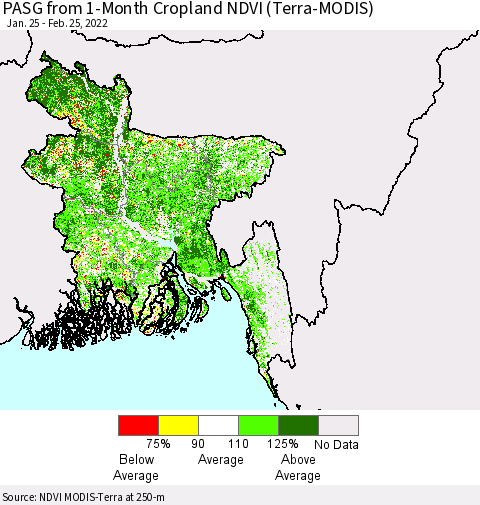 Bangladesh PASG from 1-Month Cropland NDVI (Terra-MODIS) Thematic Map For 2/18/2022 - 2/25/2022