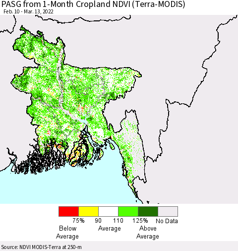 Bangladesh PASG from 1-Month Cropland NDVI (Terra-MODIS) Thematic Map For 3/6/2022 - 3/13/2022