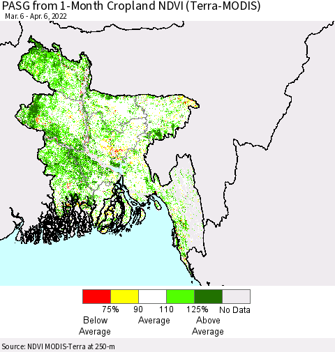 Bangladesh PASG from 1-Month Cropland NDVI (Terra-MODIS) Thematic Map For 3/30/2022 - 4/6/2022