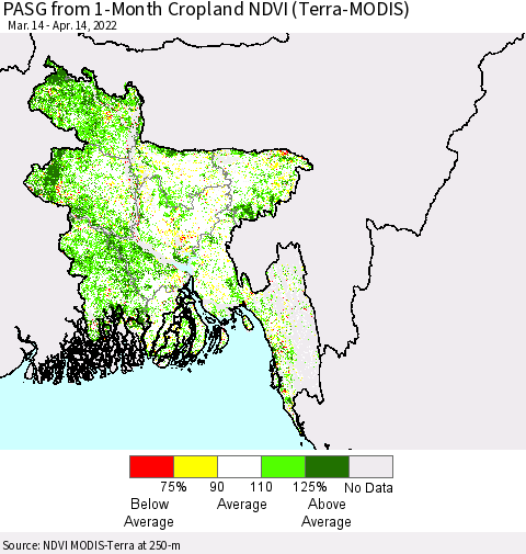 Bangladesh PASG from 1-Month Cropland NDVI (Terra-MODIS) Thematic Map For 4/7/2022 - 4/14/2022