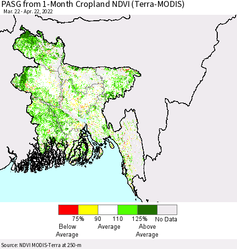 Bangladesh PASG from 1-Month Cropland NDVI (Terra-MODIS) Thematic Map For 4/15/2022 - 4/22/2022