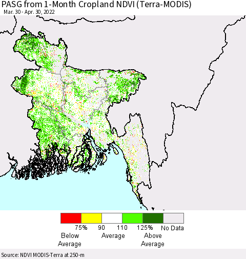 Bangladesh PASG from 1-Month Cropland NDVI (Terra-MODIS) Thematic Map For 4/23/2022 - 4/30/2022