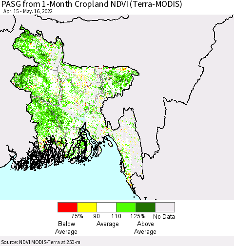Bangladesh PASG from 1-Month Cropland NDVI (Terra-MODIS) Thematic Map For 5/9/2022 - 5/16/2022