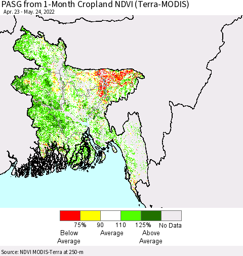 Bangladesh PASG from 1-Month Cropland NDVI (Terra-MODIS) Thematic Map For 5/17/2022 - 5/24/2022