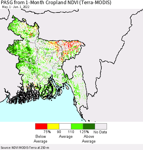 Bangladesh PASG from 1-Month Cropland NDVI (Terra-MODIS) Thematic Map For 5/25/2022 - 6/1/2022