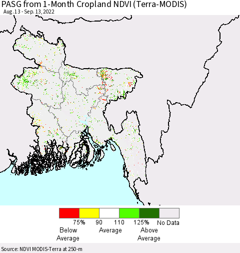 Bangladesh PASG from 1-Month Cropland NDVI (Terra-MODIS) Thematic Map For 9/6/2022 - 9/13/2022