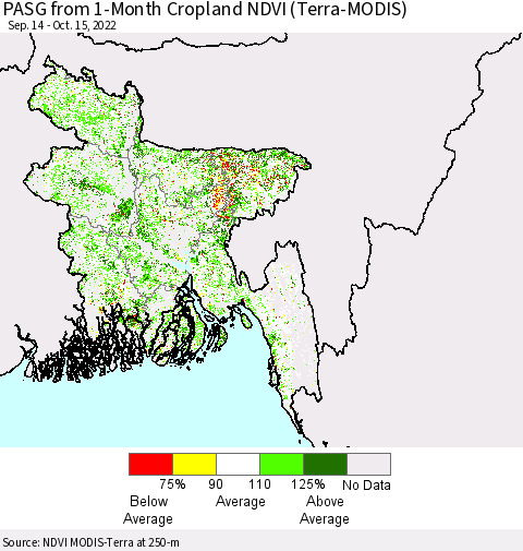 Bangladesh PASG from 1-Month Cropland NDVI (Terra-MODIS) Thematic Map For 10/8/2022 - 10/15/2022