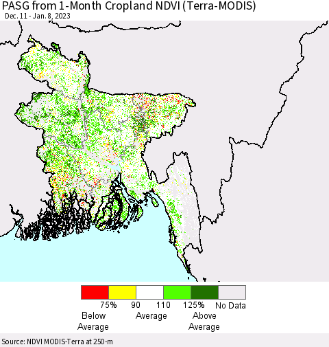 Bangladesh PASG from 1-Month Cropland NDVI (Terra-MODIS) Thematic Map For 1/1/2023 - 1/8/2023