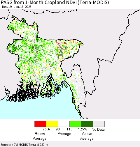 Bangladesh PASG from 1-Month Cropland NDVI (Terra-MODIS) Thematic Map For 1/9/2023 - 1/16/2023
