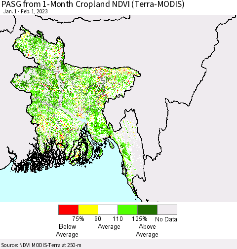 Bangladesh PASG from 1-Month Cropland NDVI (Terra-MODIS) Thematic Map For 1/25/2023 - 2/1/2023