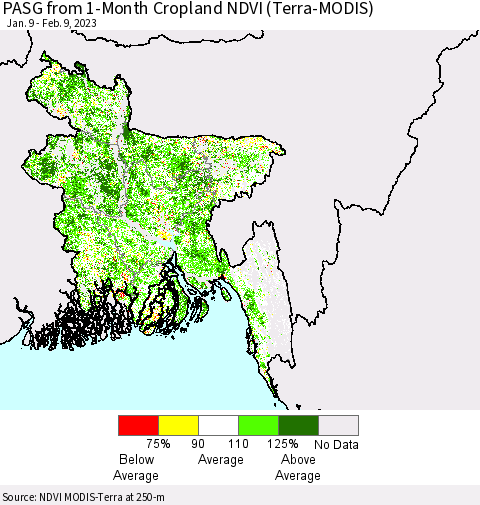 Bangladesh PASG from 1-Month Cropland NDVI (Terra-MODIS) Thematic Map For 2/2/2023 - 2/9/2023
