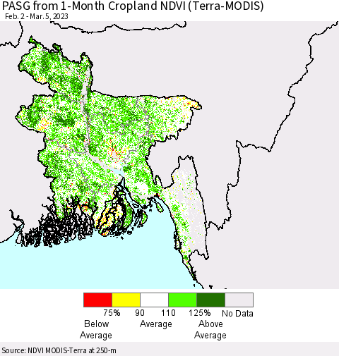 Bangladesh PASG from 1-Month Cropland NDVI (Terra-MODIS) Thematic Map For 2/26/2023 - 3/5/2023