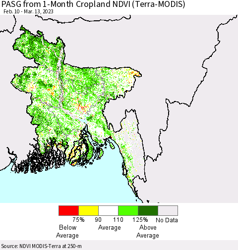 Bangladesh PASG from 1-Month Cropland NDVI (Terra-MODIS) Thematic Map For 3/6/2023 - 3/13/2023