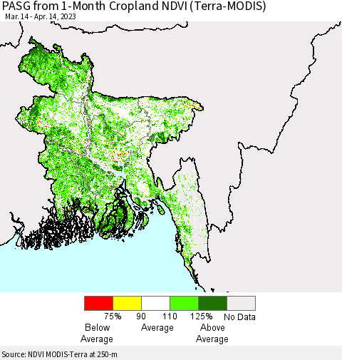 Bangladesh PASG from 1-Month Cropland NDVI (Terra-MODIS) Thematic Map For 4/7/2023 - 4/14/2023