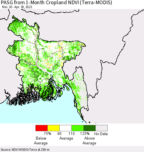 Bangladesh PASG from 1-Month Cropland NDVI (Terra-MODIS) Thematic Map For 4/23/2023 - 4/30/2023