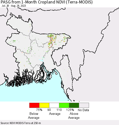 Bangladesh PASG from 1-Month Cropland NDVI (Terra-MODIS) Thematic Map For 8/21/2023 - 8/28/2023