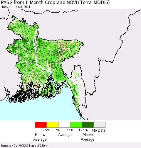Bangladesh PASG from 1-Month Cropland NDVI (Terra-MODIS) Thematic Map For 1/1/2024 - 1/8/2024