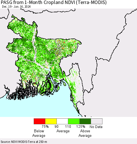 Bangladesh PASG from 1-Month Cropland NDVI (Terra-MODIS) Thematic Map For 1/9/2024 - 1/16/2024