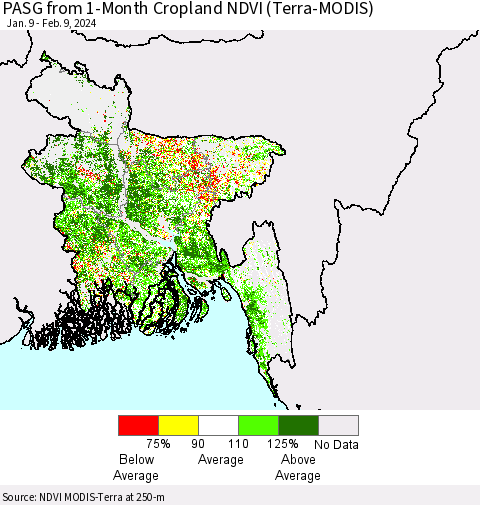 Bangladesh PASG from 1-Month Cropland NDVI (Terra-MODIS) Thematic Map For 2/2/2024 - 2/9/2024