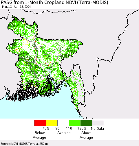 Bangladesh PASG from 1-Month Cropland NDVI (Terra-MODIS) Thematic Map For 4/6/2024 - 4/13/2024