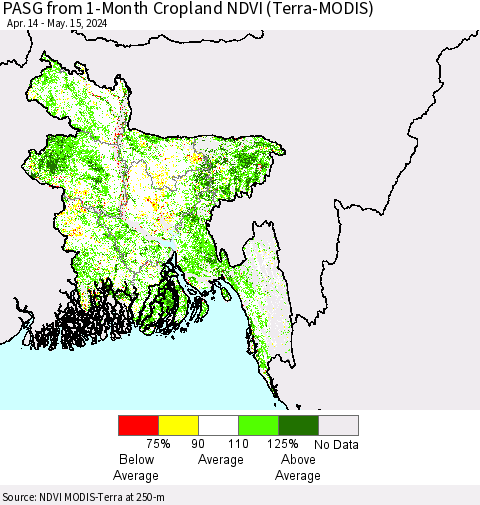 Bangladesh PASG from 1-Month Cropland NDVI (Terra-MODIS) Thematic Map For 5/8/2024 - 5/15/2024