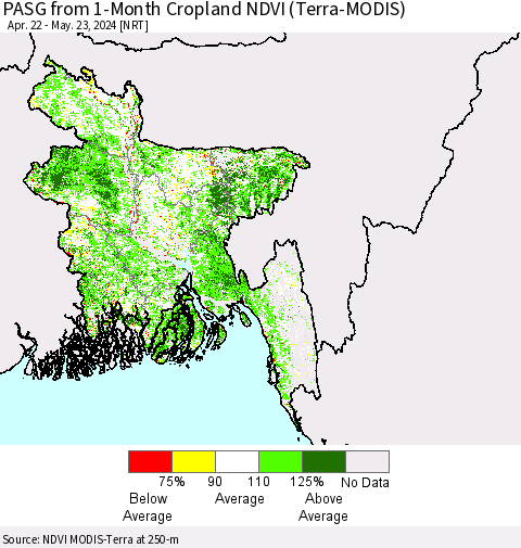 Bangladesh PASG from 1-Month Cropland NDVI (Terra-MODIS) Thematic Map For 5/16/2024 - 5/23/2024