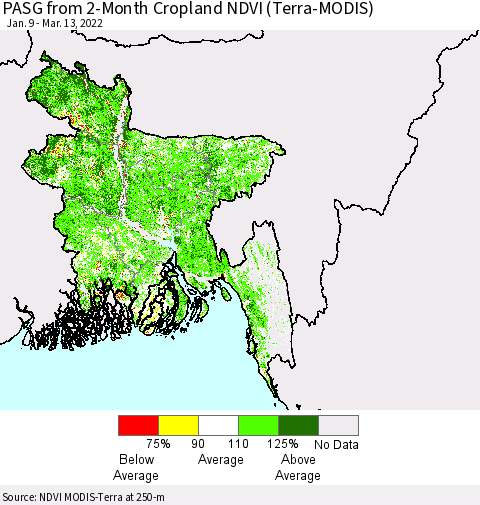 Bangladesh PASG from 2-Month Cropland NDVI (Terra-MODIS) Thematic Map For 3/6/2022 - 3/13/2022
