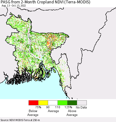 Bangladesh PASG from 2-Month Cropland NDVI (Terra-MODIS) Thematic Map For 10/8/2022 - 10/15/2022