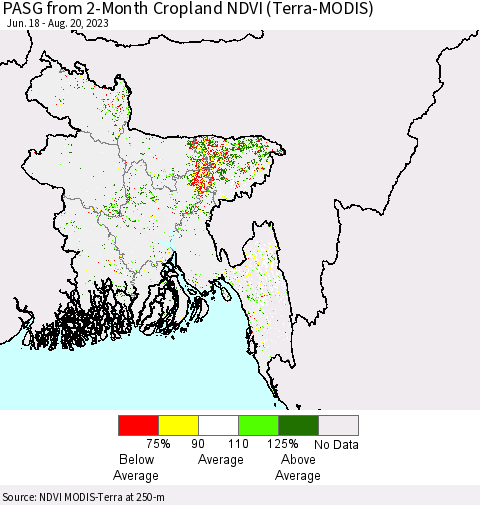 Bangladesh PASG from 2-Month Cropland NDVI (Terra-MODIS) Thematic Map For 8/13/2023 - 8/20/2023