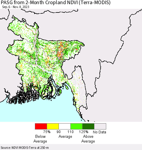Bangladesh PASG from 2-Month Cropland NDVI (Terra-MODIS) Thematic Map For 11/1/2023 - 11/8/2023