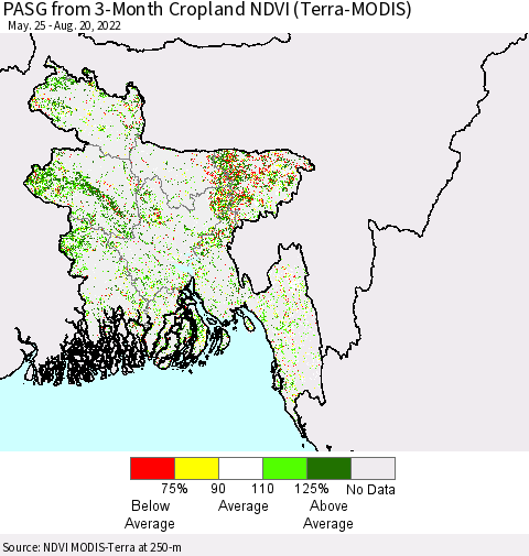 Bangladesh PASG from 3-Month Cropland NDVI (Terra-MODIS) Thematic Map For 8/13/2022 - 8/20/2022