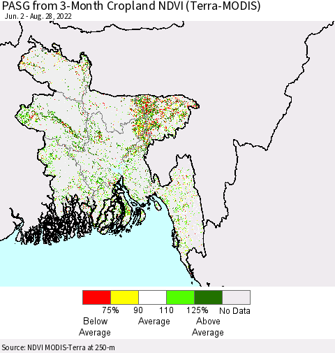 Bangladesh PASG from 3-Month Cropland NDVI (Terra-MODIS) Thematic Map For 8/21/2022 - 8/28/2022