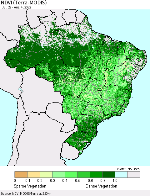 Brazil NDVI (Terra-MODIS) Thematic Map For 7/28/2022 - 8/4/2022
