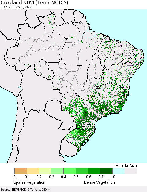 Brazil Cropland NDVI (Terra-MODIS) Thematic Map For 1/25/2022 - 2/1/2022