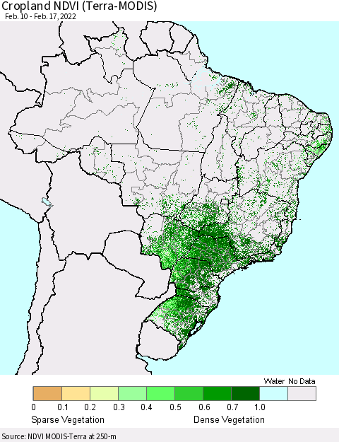 Brazil Cropland NDVI (Terra-MODIS) Thematic Map For 2/10/2022 - 2/17/2022