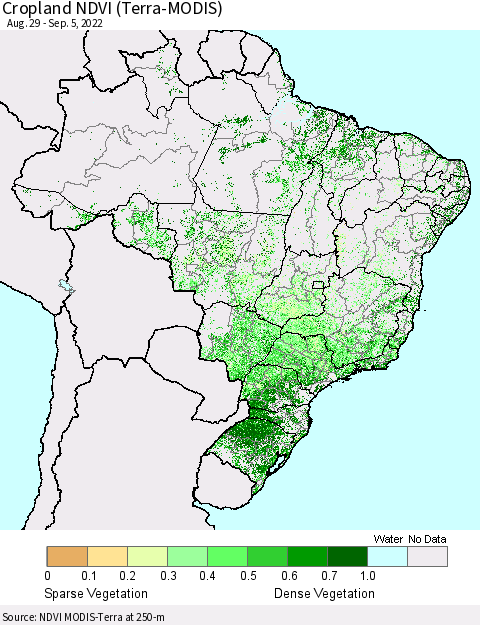 Brazil Cropland NDVI (Terra-MODIS) Thematic Map For 8/29/2022 - 9/5/2022
