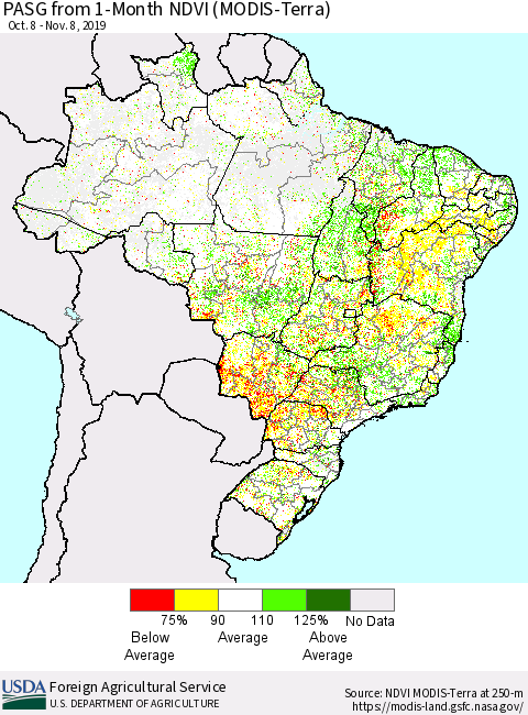 Brazil PASG from 1-Month NDVI (Terra-MODIS) Thematic Map For 11/1/2019 - 11/10/2019