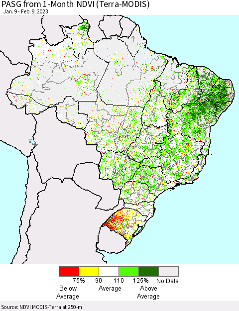 Brazil PASG from 1-Month NDVI (Terra-MODIS) Thematic Map For 2/2/2023 - 2/9/2023