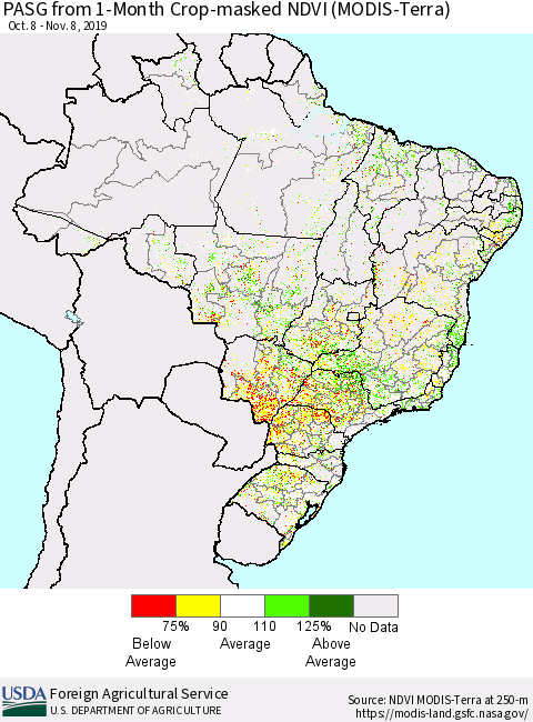 Brazil PASG from 1-Month Cropland NDVI (Terra-MODIS) Thematic Map For 11/1/2019 - 11/10/2019