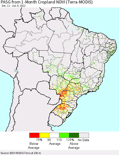 Brazil PASG from 1-Month Cropland NDVI (Terra-MODIS) Thematic Map For 1/1/2022 - 1/8/2022