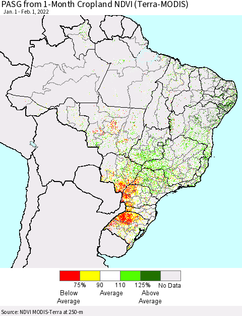 Brazil PASG from 1-Month Cropland NDVI (Terra-MODIS) Thematic Map For 1/25/2022 - 2/1/2022