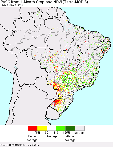 Brazil PASG from 1-Month Cropland NDVI (Terra-MODIS) Thematic Map For 2/26/2022 - 3/5/2022