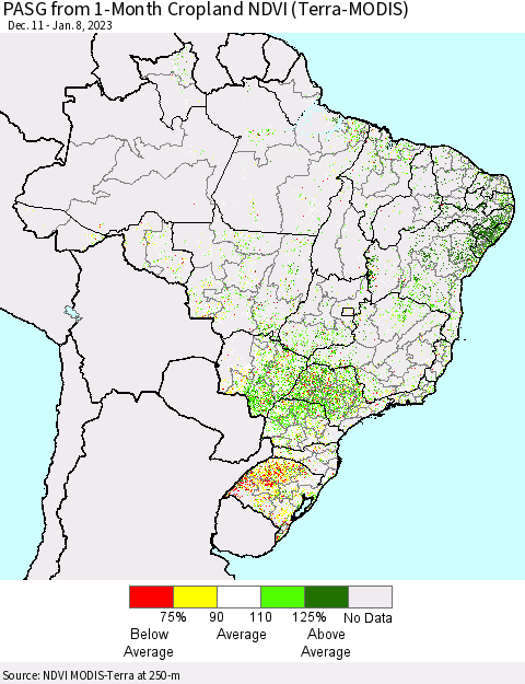 Brazil PASG from 1-Month Cropland NDVI (Terra-MODIS) Thematic Map For 1/1/2023 - 1/8/2023