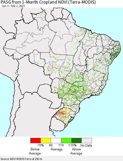 Brazil PASG from 1-Month Cropland NDVI (Terra-MODIS) Thematic Map For 1/25/2023 - 2/1/2023