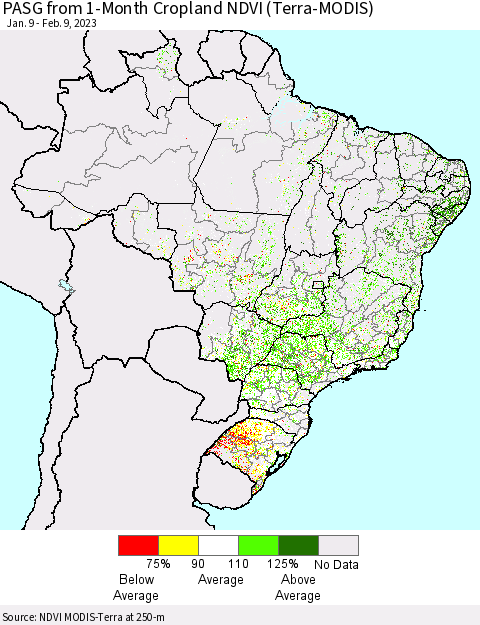 Brazil PASG from 1-Month Cropland NDVI (Terra-MODIS) Thematic Map For 2/2/2023 - 2/9/2023