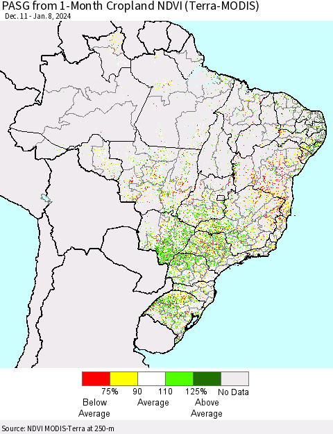 Brazil PASG from 1-Month Cropland NDVI (Terra-MODIS) Thematic Map For 1/1/2024 - 1/8/2024
