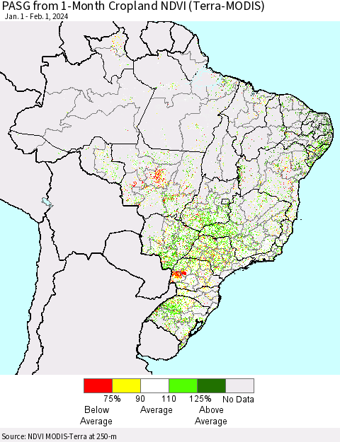 Brazil PASG from 1-Month Cropland NDVI (Terra-MODIS) Thematic Map For 1/25/2024 - 2/1/2024