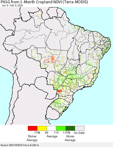 Brazil PASG from 1-Month Cropland NDVI (Terra-MODIS) Thematic Map For 2/2/2024 - 2/9/2024